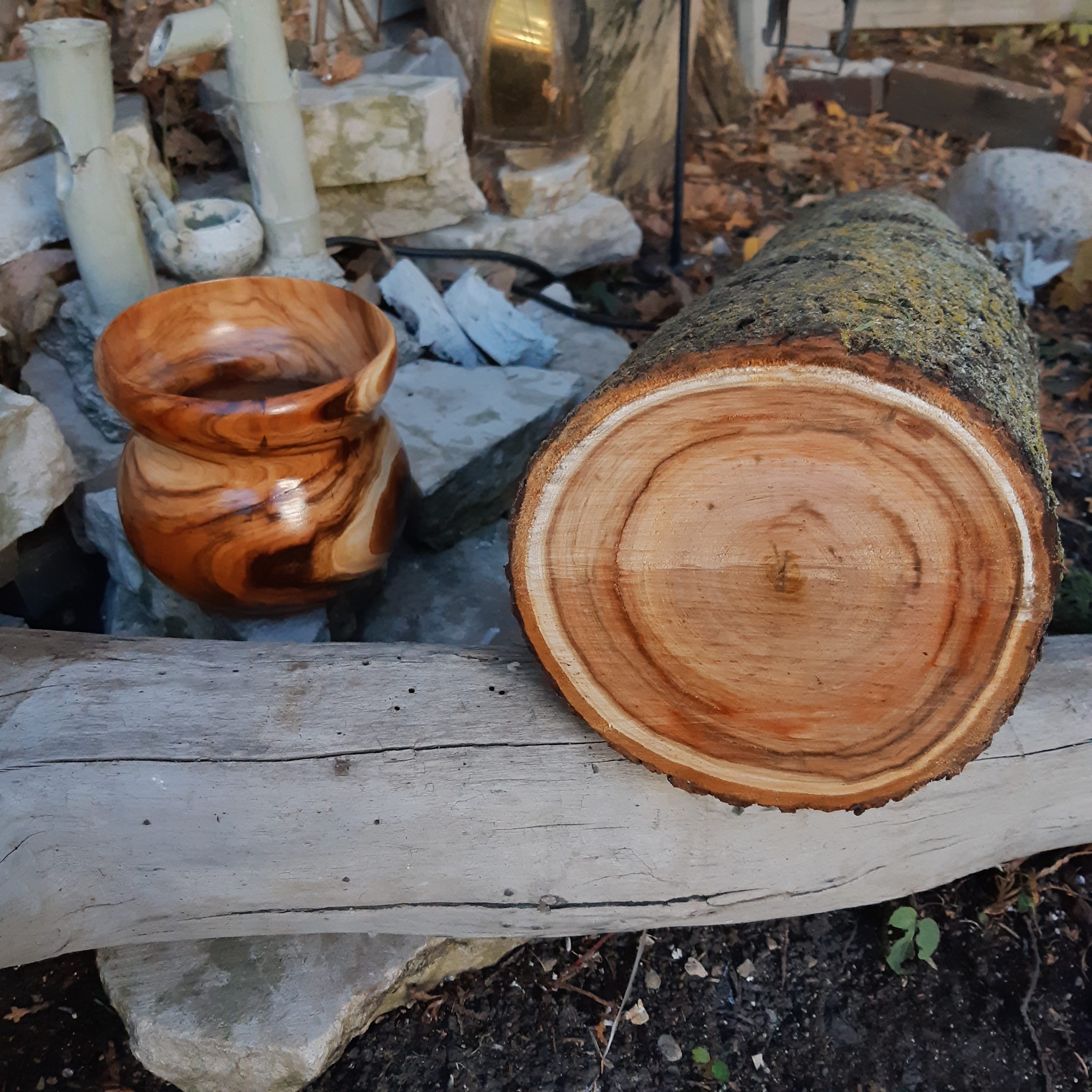 Chokecherry Bowl