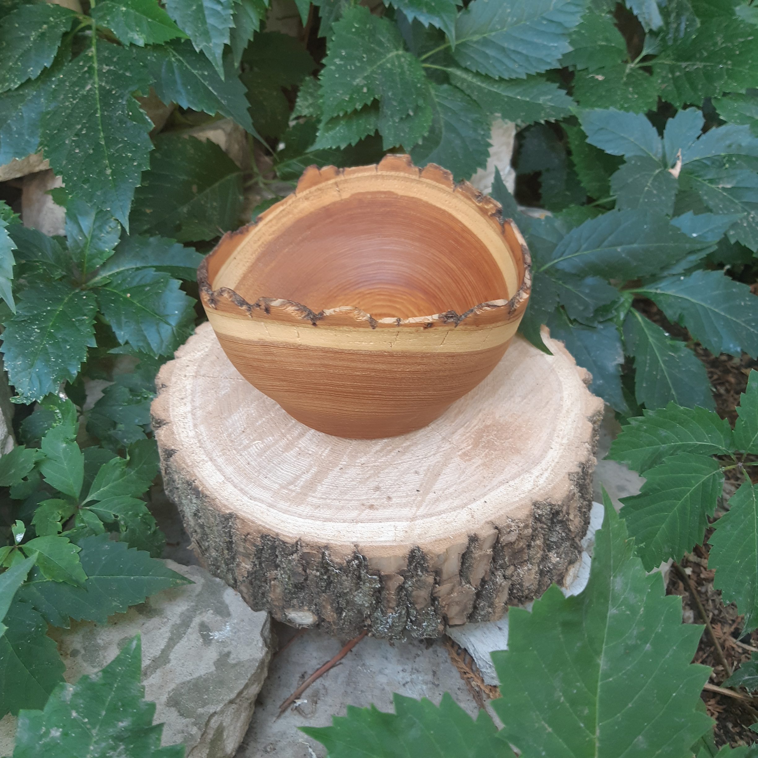 Live Edge Ash Bowl