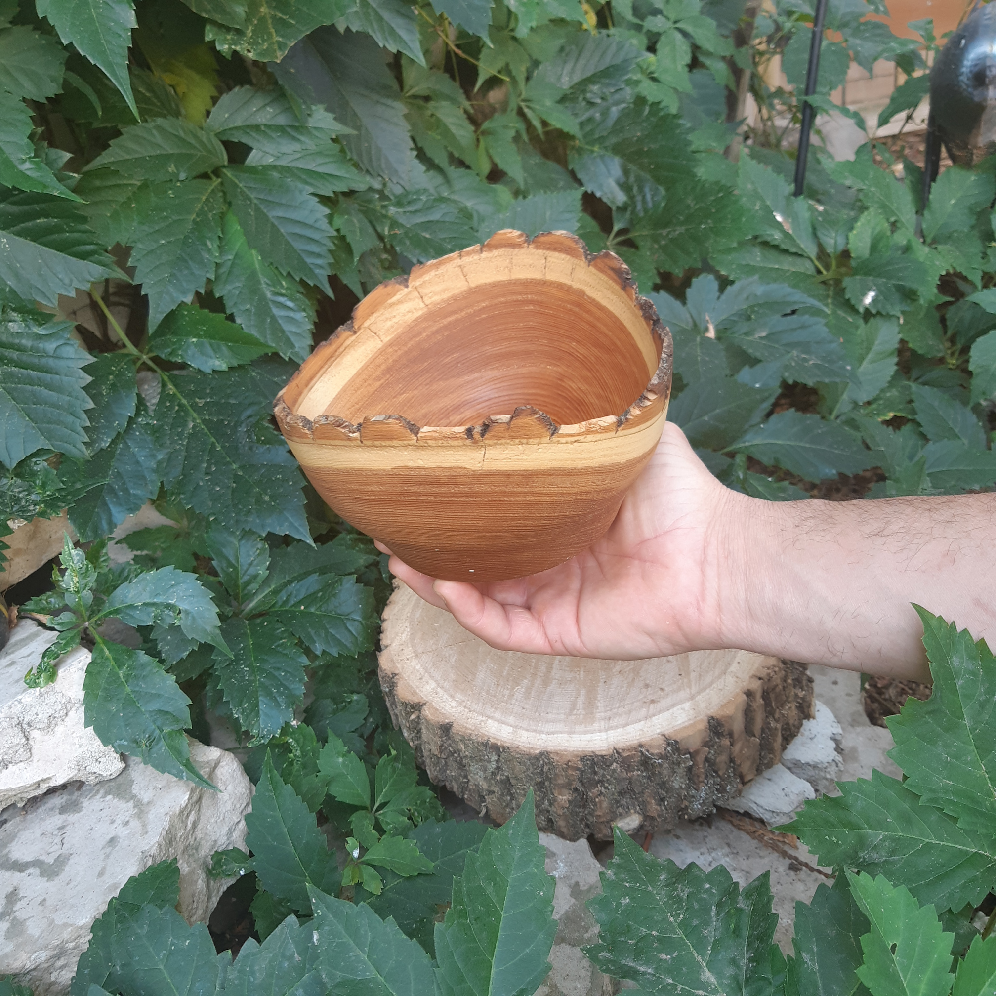 Live Edge Ash Bowl