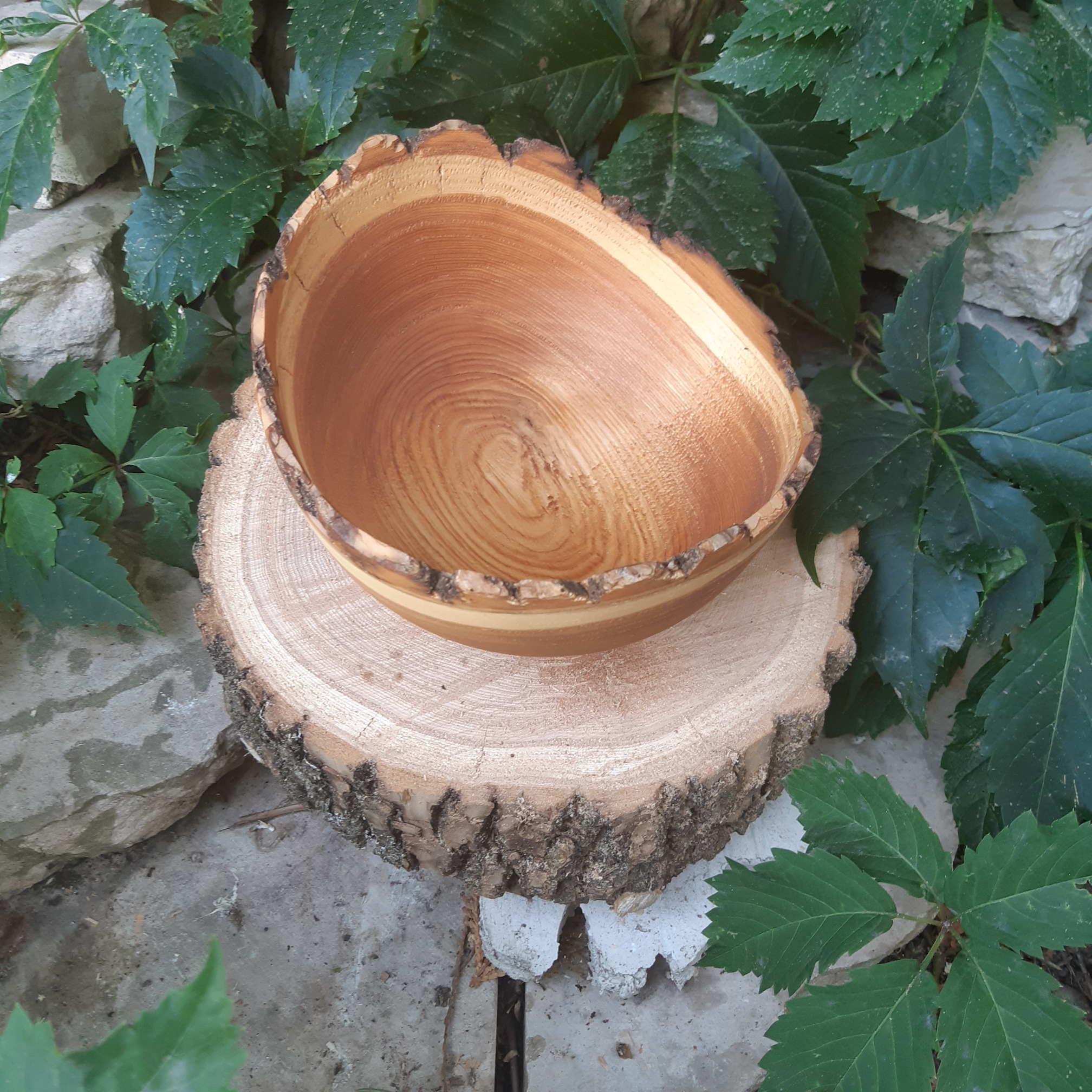 Live Edge Ash Bowl
