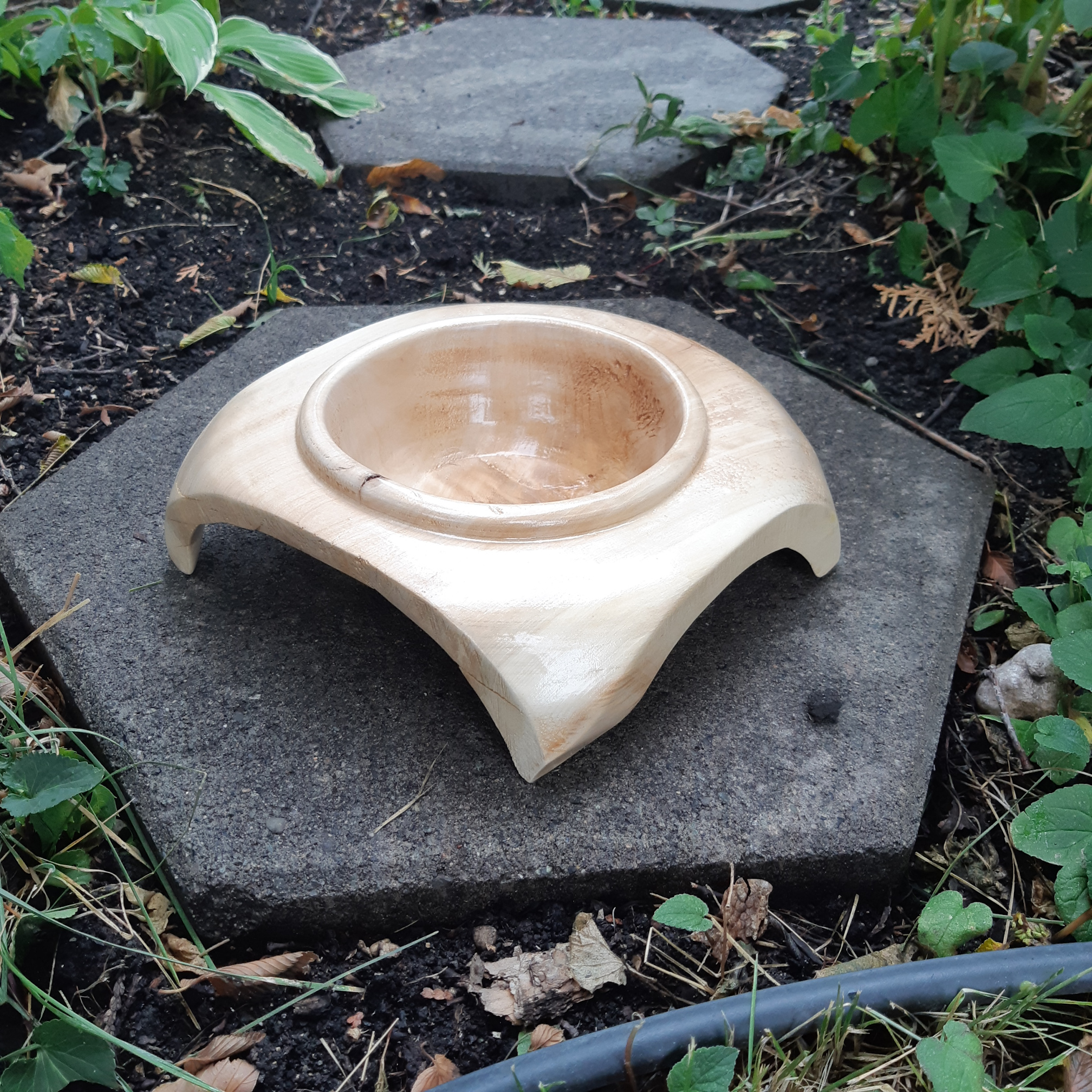 Suspended Cottonwood Bowl