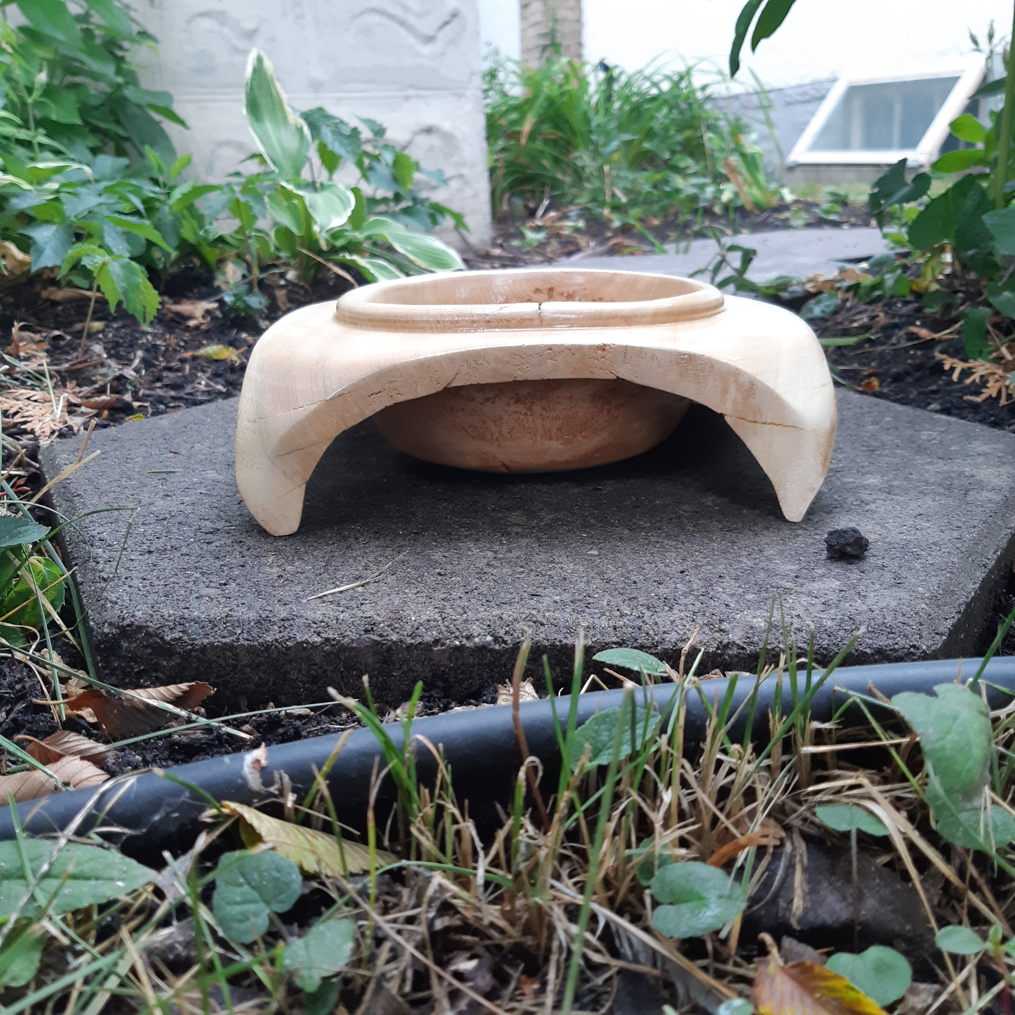 Suspended Cottonwood Bowl