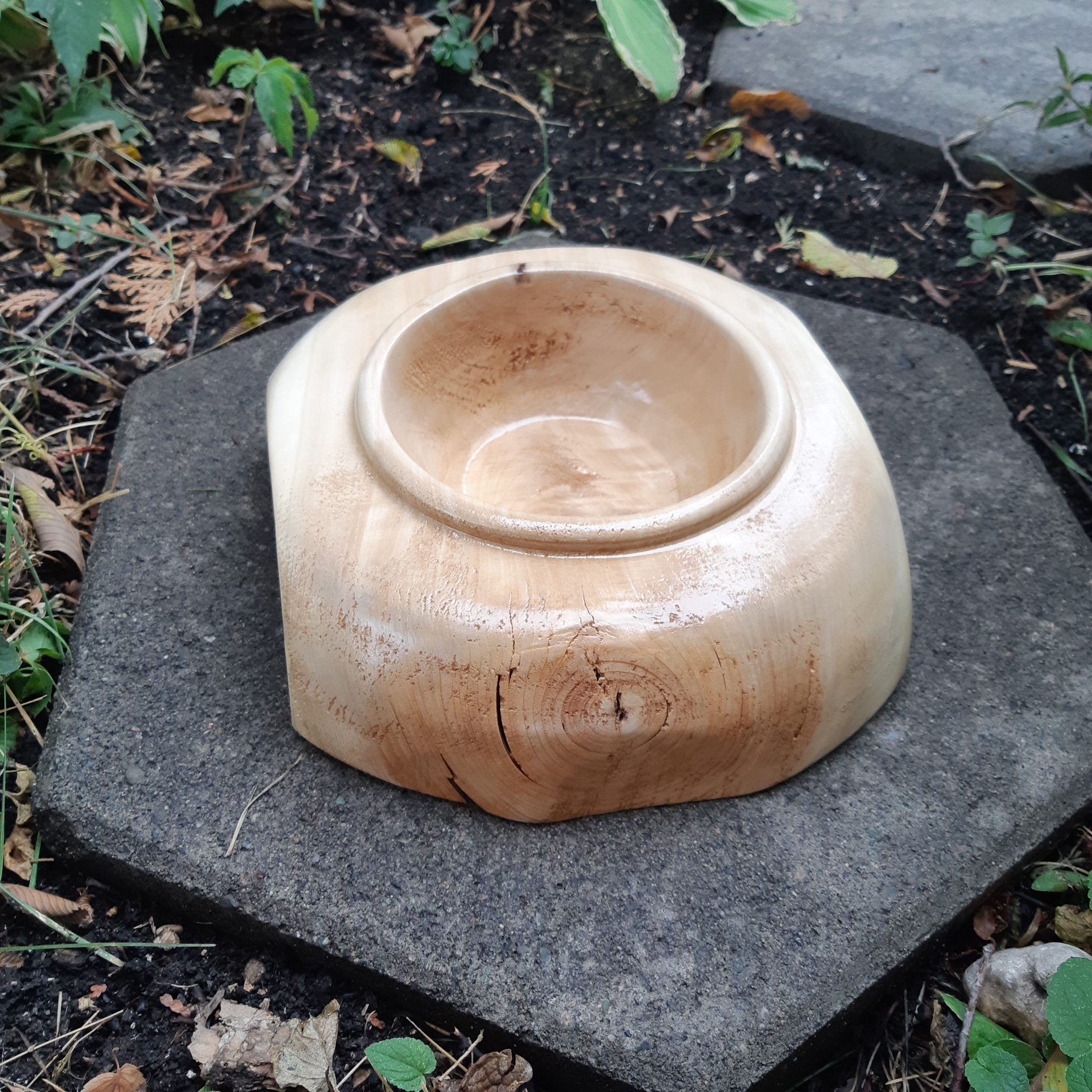 Suspended Cottonwood Bowl