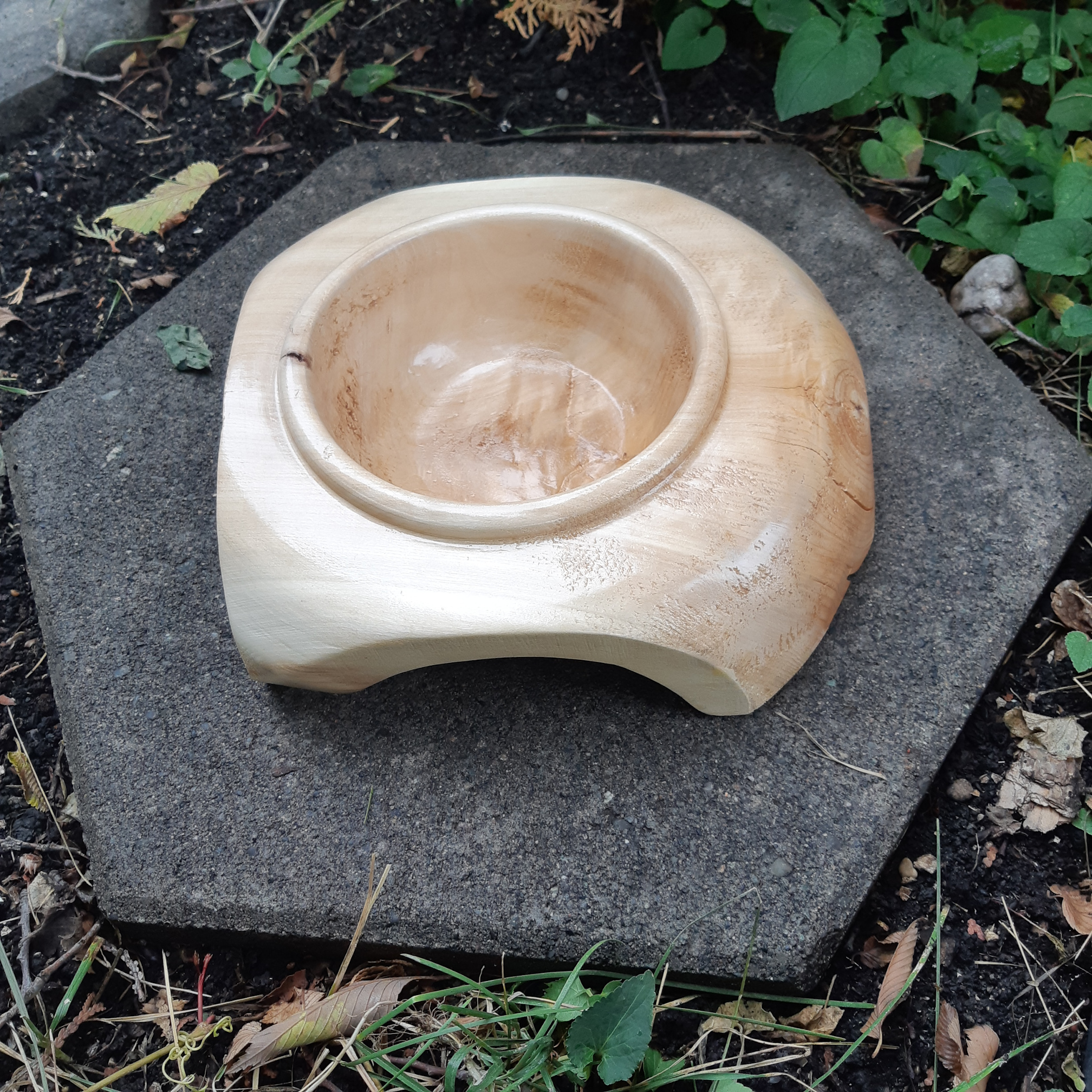 Suspended Cottonwood Bowl