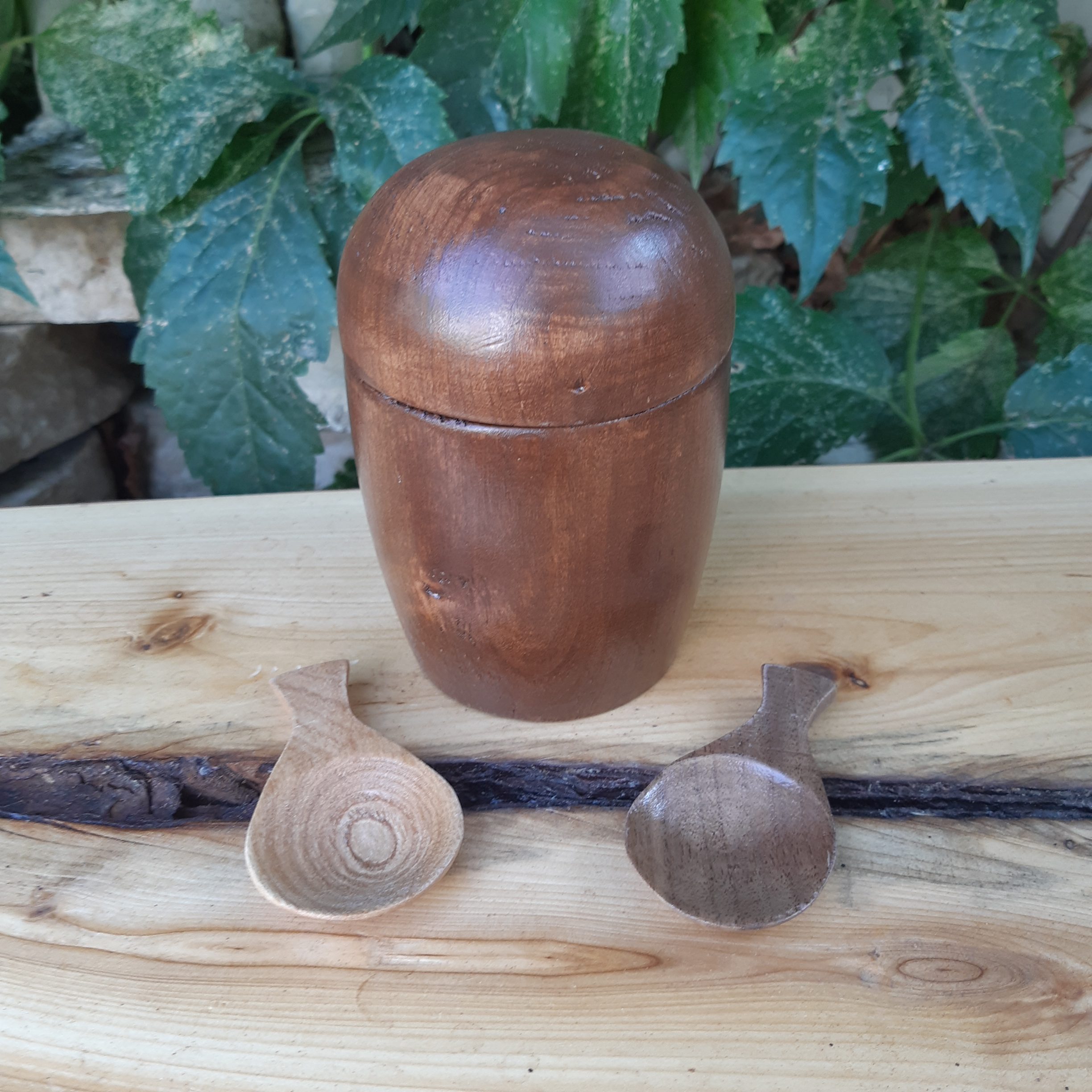 Tea Canister - Cottonwood