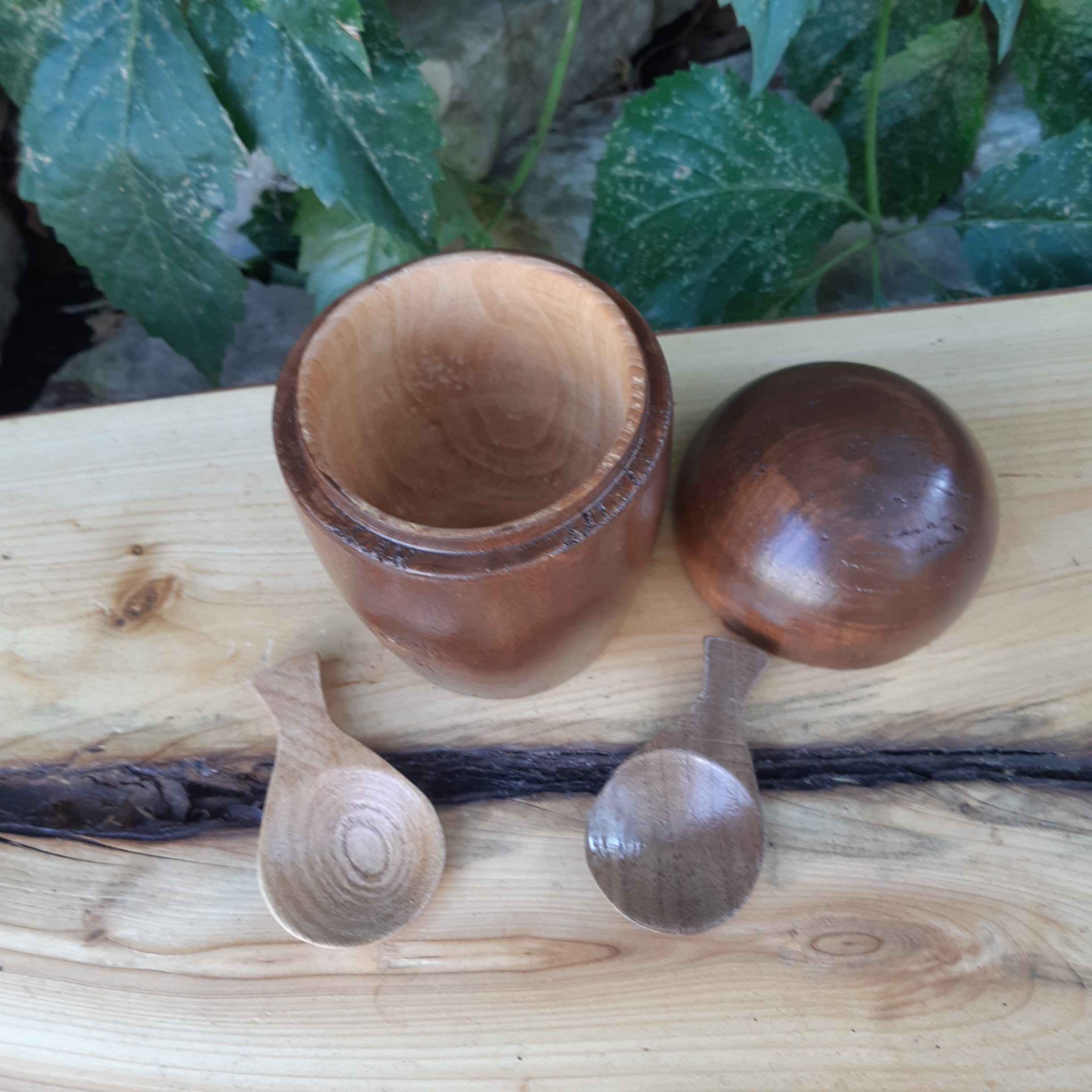 Tea Canister - Cottonwood