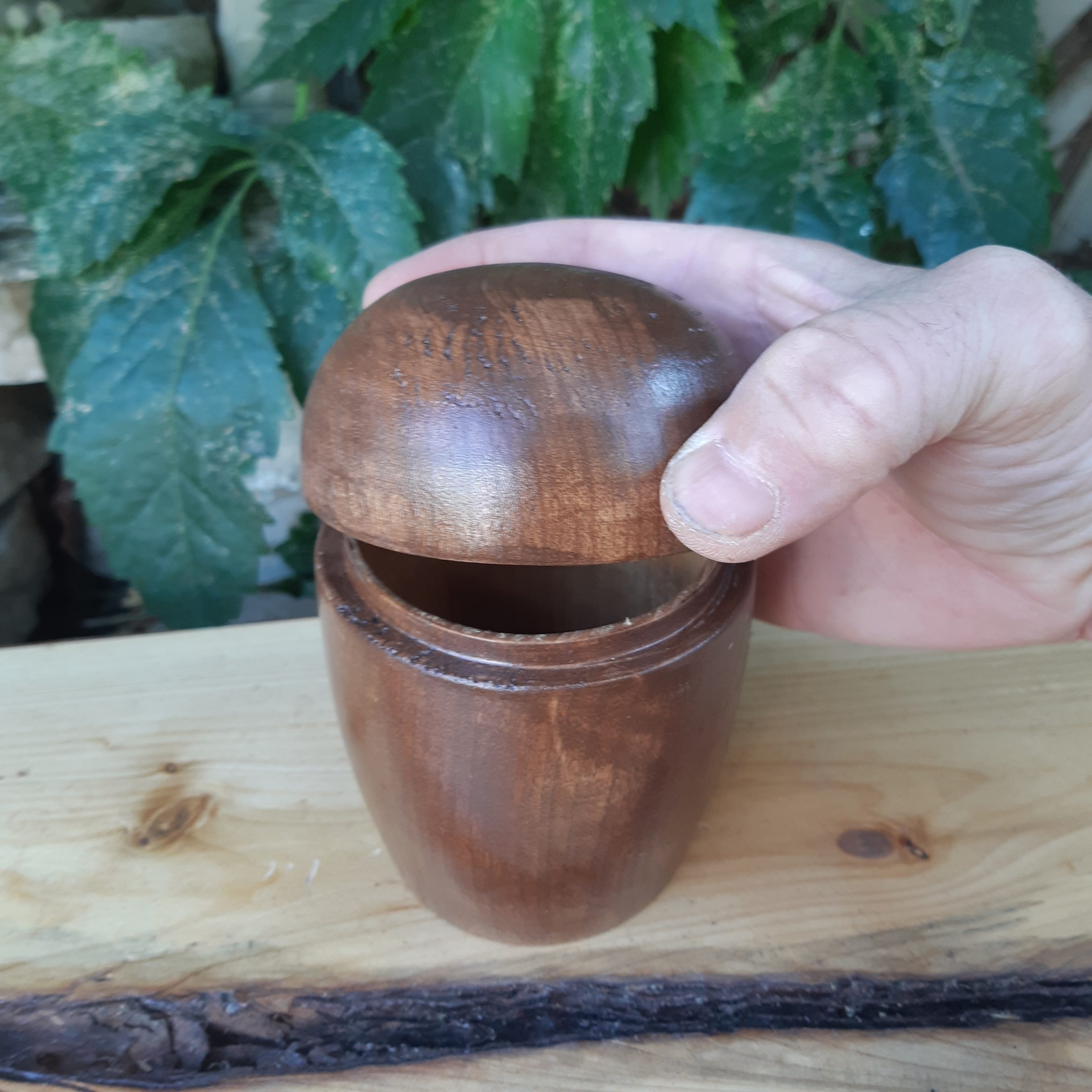 Tea Canister - Cottonwood