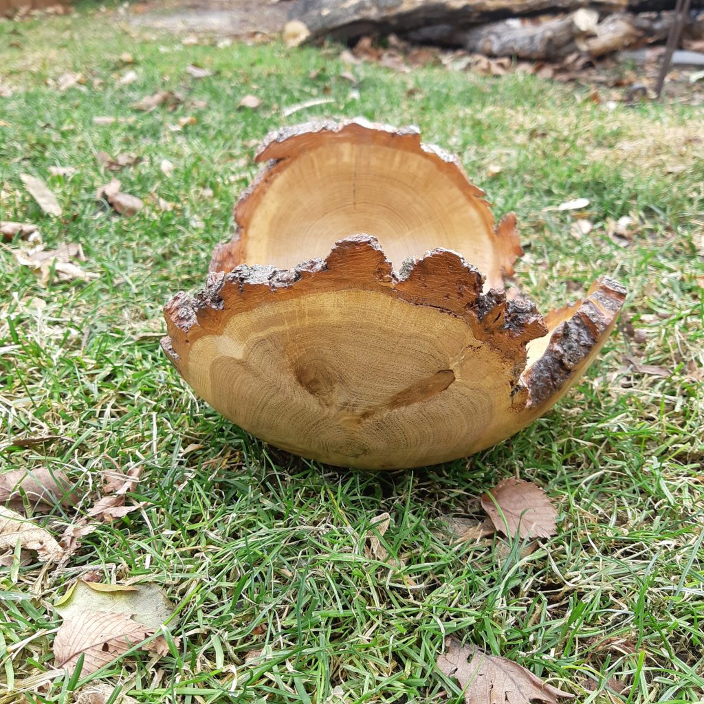 Live Edge Oak Tri-Wing Bowl