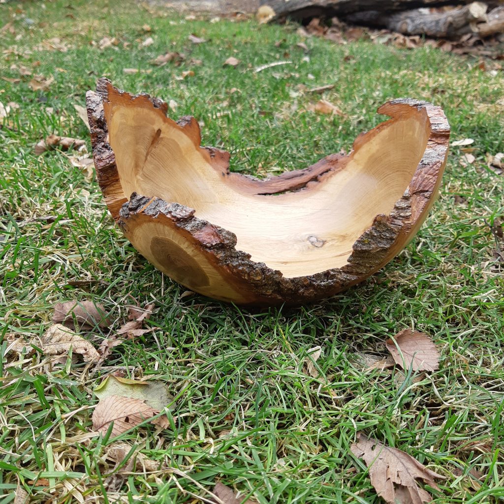 Live Edge Oak Tri-Wing Bowl