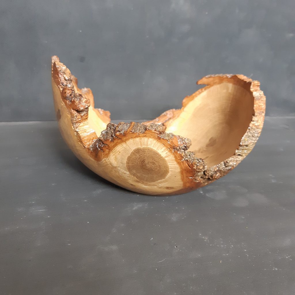 Live Edge Oak Tri-Wing Bowl