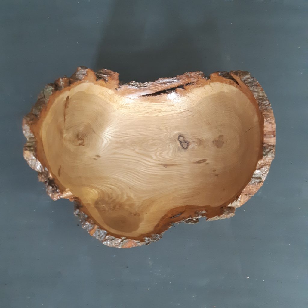 Live Edge Oak Tri-Wing Bowl